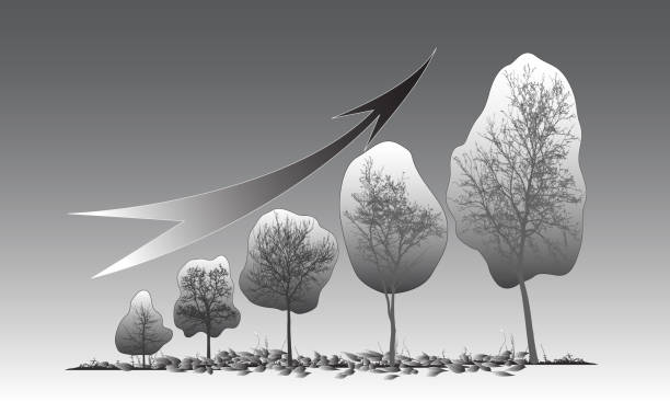 istock Economy concept. Graph of growing sustainable environment with business. Vector illustration. 1206447809