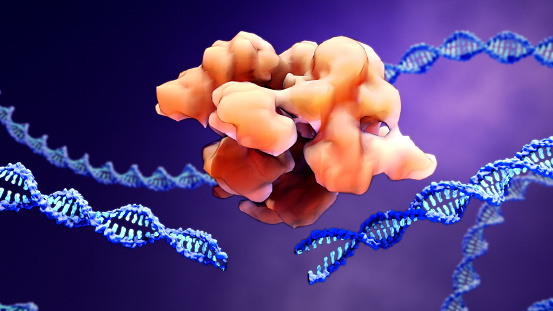 CRISPR-Cas9\nproteins recognize and cut foreign pathogenic DNA