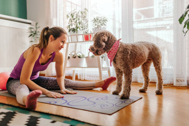 istock Pilates With Dog - Pet Love 1206447990