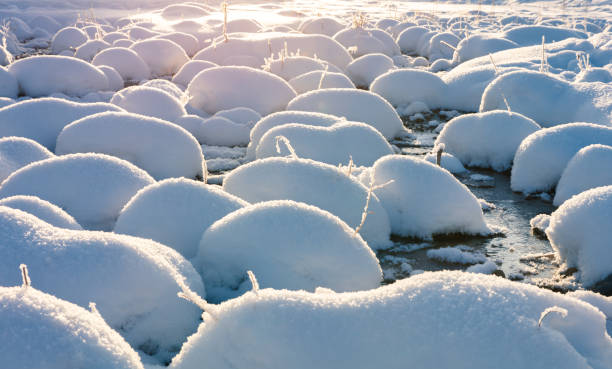 Snowdrifts
