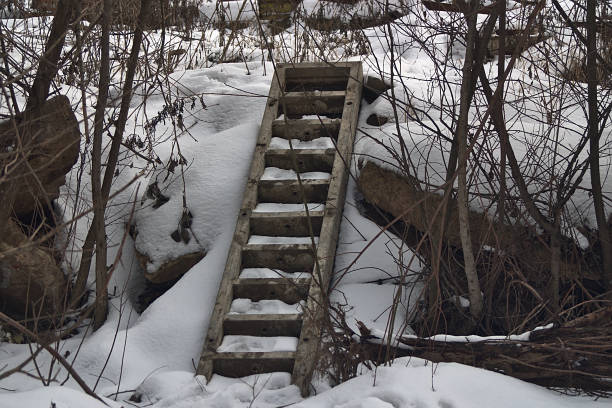 istock stairs to nowhere on an abandoned construction site 1206454298