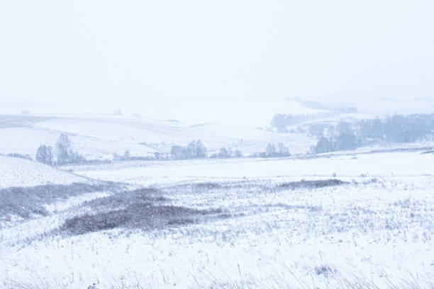 istock Winter snow minimalistic landscape 1206454640