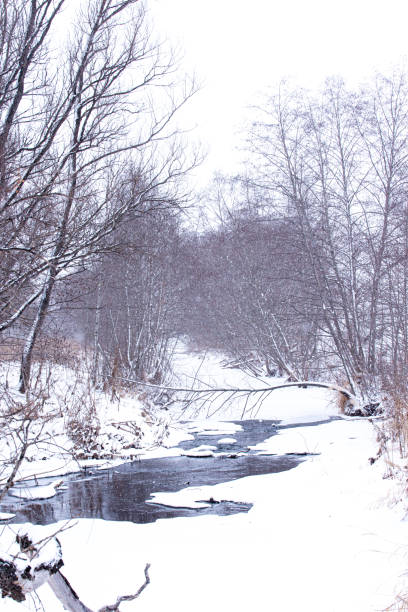 istock Winter snow landscape with unfrozen small river and trees. 1206454720