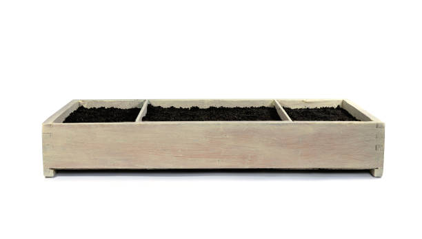 caja de madera con suelo para el cultivo de plantas aisladas sobre fondo blanco. - flower bed fotografías e imágenes de stock