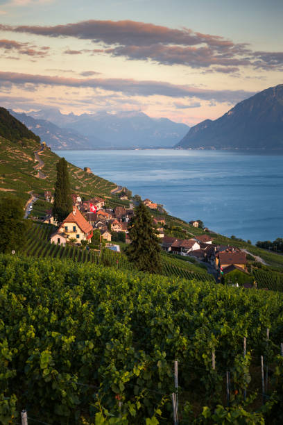 istock Lavaux Region, Vaud 1206456804