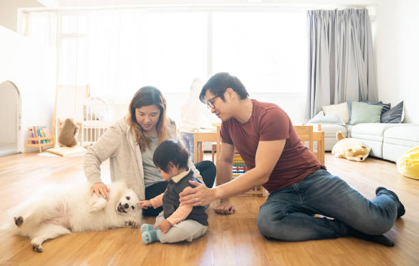 família com criança e cachorro em casa - pets family dog asian ethnicity - fotografias e filmes do acervo