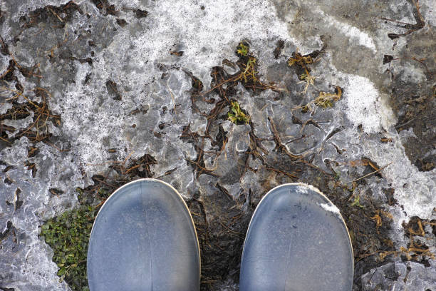 Person in boots standing on melted snow. Close up.