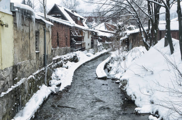 istock Creek flowing through a mountain village 1206461759