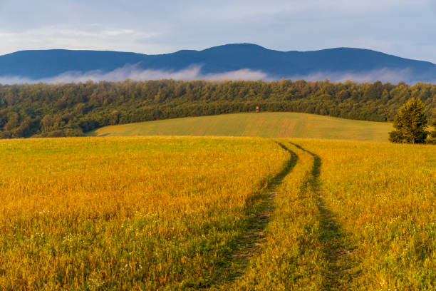 istock Morning fog under Vihorlat, Slovakia 1206463649