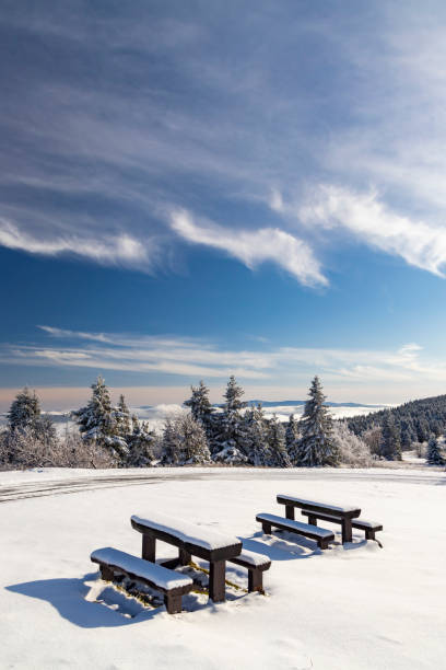 istock Orlicke Mountains in winter, Czech Republic 1206463885