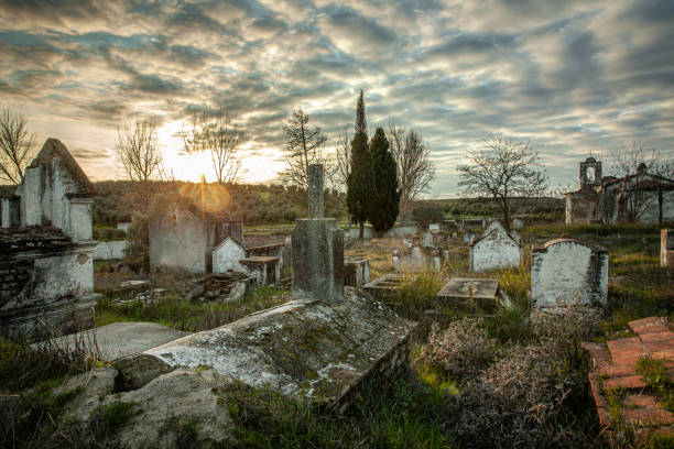 istock Abandoned  ruin  cemetery  and overgrown landscape  Nature 1206464746
