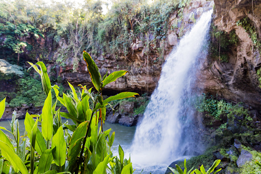 Waterfall Cascada Blanca of Matagalpa  in Nicaragua