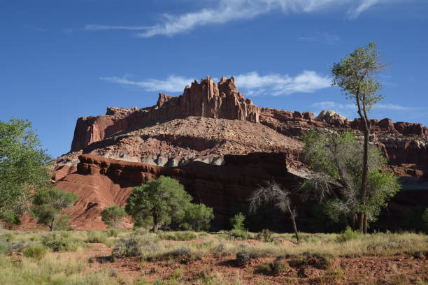 istock Capitol Reef National Park Scenery 1206465386