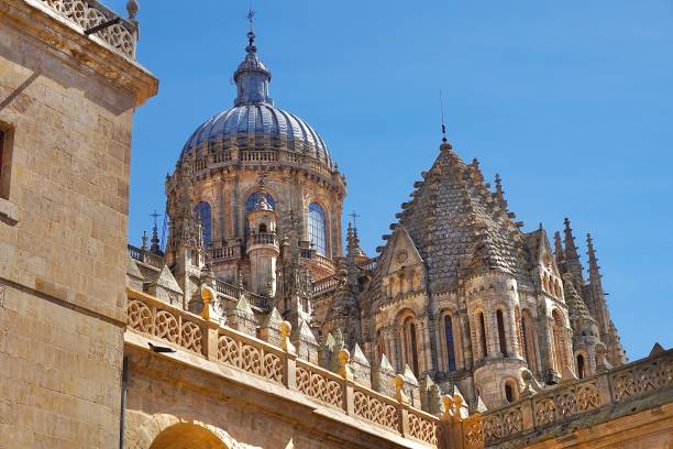 istock Cathedral in Salamanca Spain 1206469002