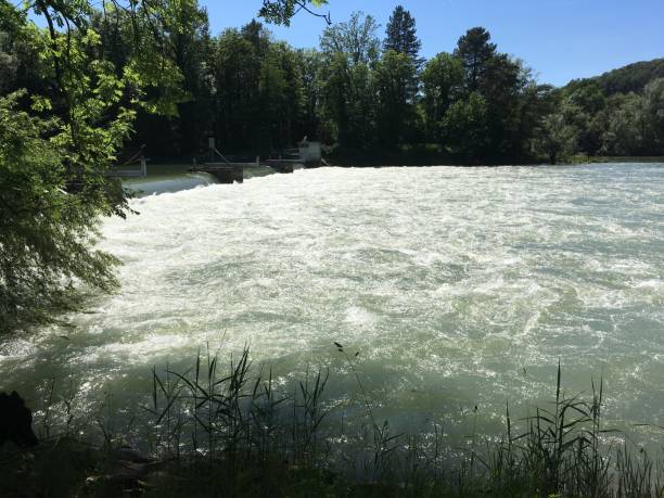 istock Aare river in riverside forest with high water  near weir in summer time. 1206470421