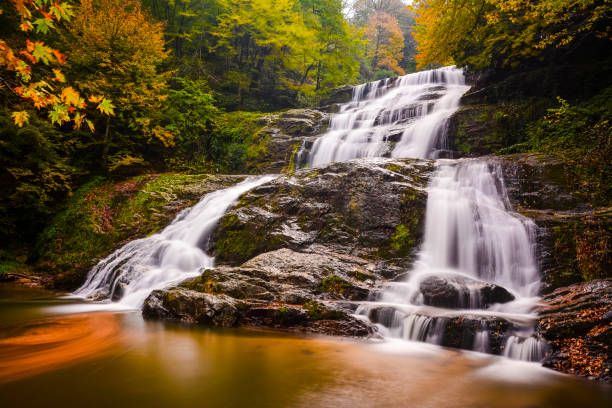 istock Forest in Bursa suuctu waterfalls in Turkey 1206479872