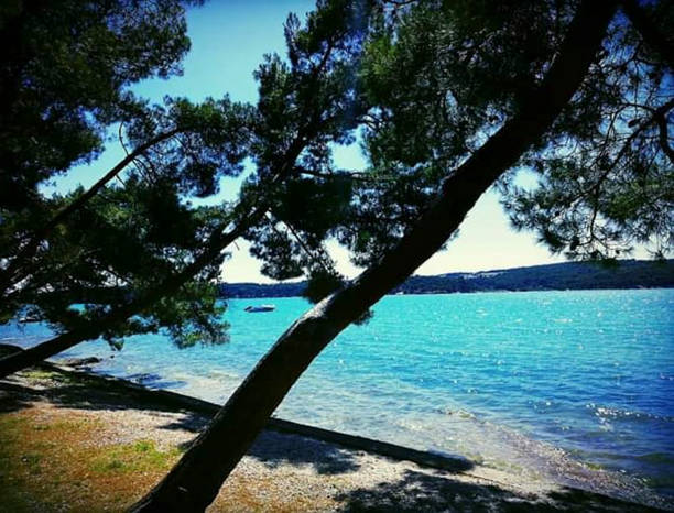 istock view to the beach in summer 1206482565