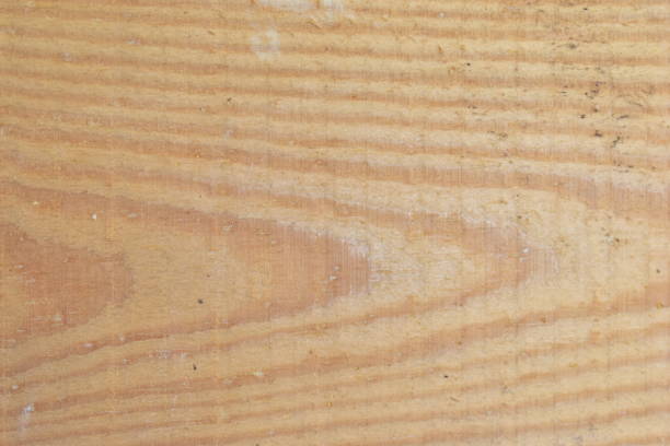 istock Surface and pattern of freshly sawn wood Board 1206482709