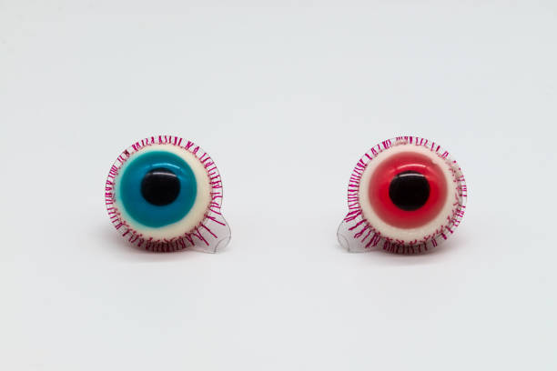 Human eye anatomy. Inner structure. 3d illustration
