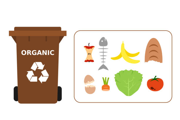 Brown trash can with organic waste suitable for recycling. Recycling organic waste, compost, segregate waste, sorting garbage, eco friendly, concept. White background. Vector illustration, flat style. utilize stock illustrations