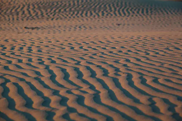 Sandwaves on the beach of Terschelling in the setting sun