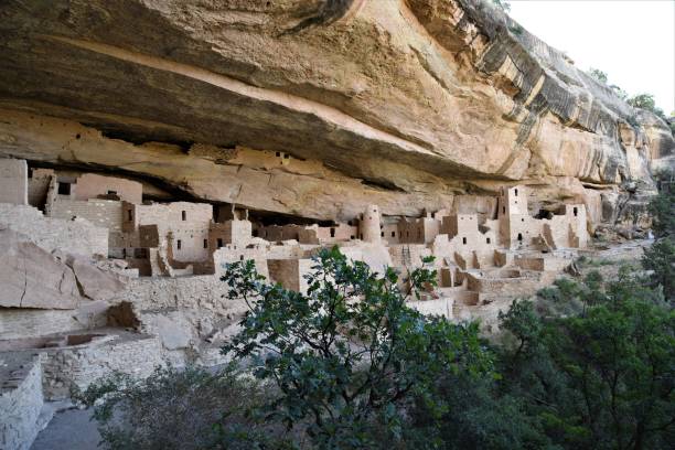 istock Cliff Palace at Mesa Verde NP 1206501296