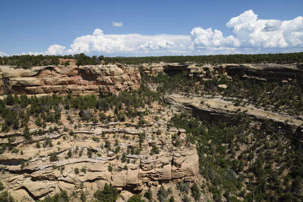 istock Oak Tree House in Mesa Verde NP 1206503576