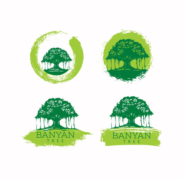 Banyan Tree Holistic Healing Vector Design Element On Textured Background vector art illustration