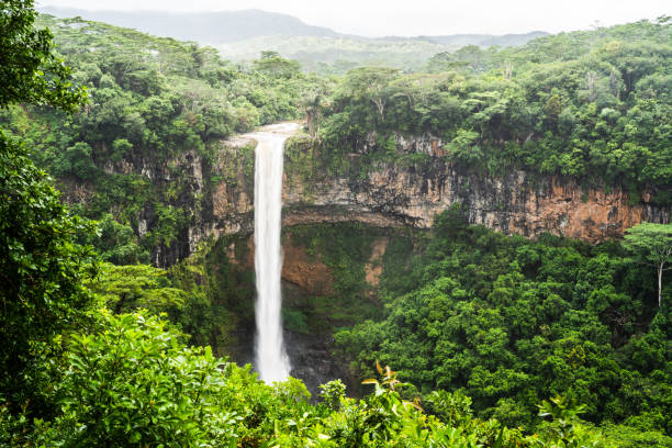 istock Chamarel Falls Waterfall In Mauritius Island 1206509428
