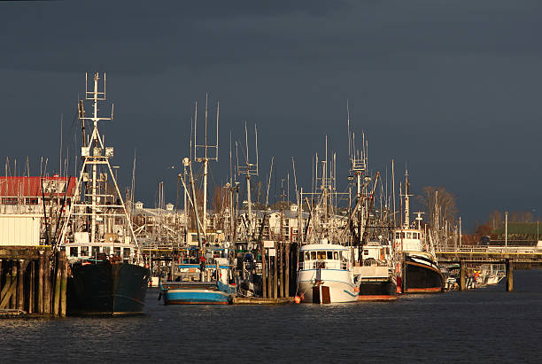 istock Steveston Harbor, Busy Docks, Vancouver 120651143