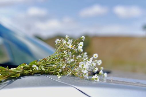 Fragment of a car with a bouquet of wild white flowers on the bonnet near the window against the background of a summer landscape with a meadow and clouds in the sky.