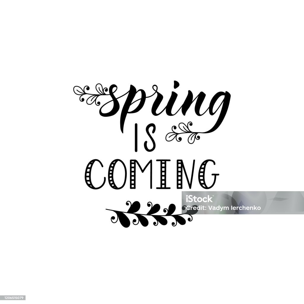 Spring Is Coming Stop In Spring Is Coming Vector Illustration Lettering Ink Illustration Stock ...