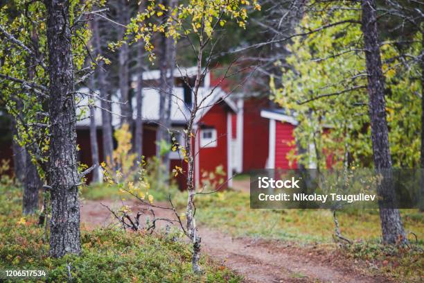 View Of Classical Swedish Camping Site With Traditional Wooden Red Cabin Cottage Houses Lapland Northern Sweden Stock Photo - Download Image Now
