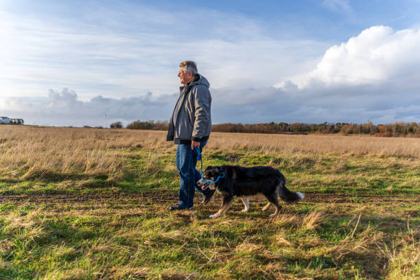 istock Man walking on grassland with border collie 1206518951