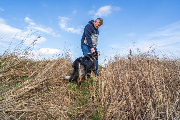 istock Man walking on grassland with border collie 1206518984