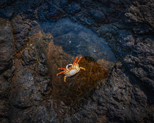 Hormuz Island, Iran