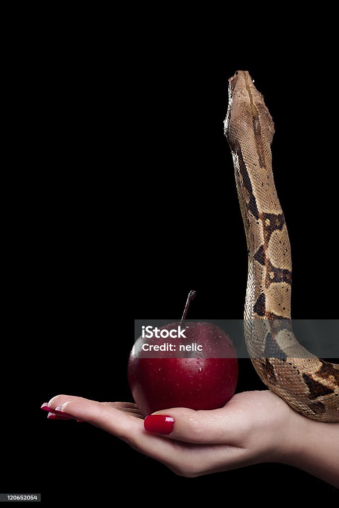 Sin - Стоковые фото Змея роялти-фри