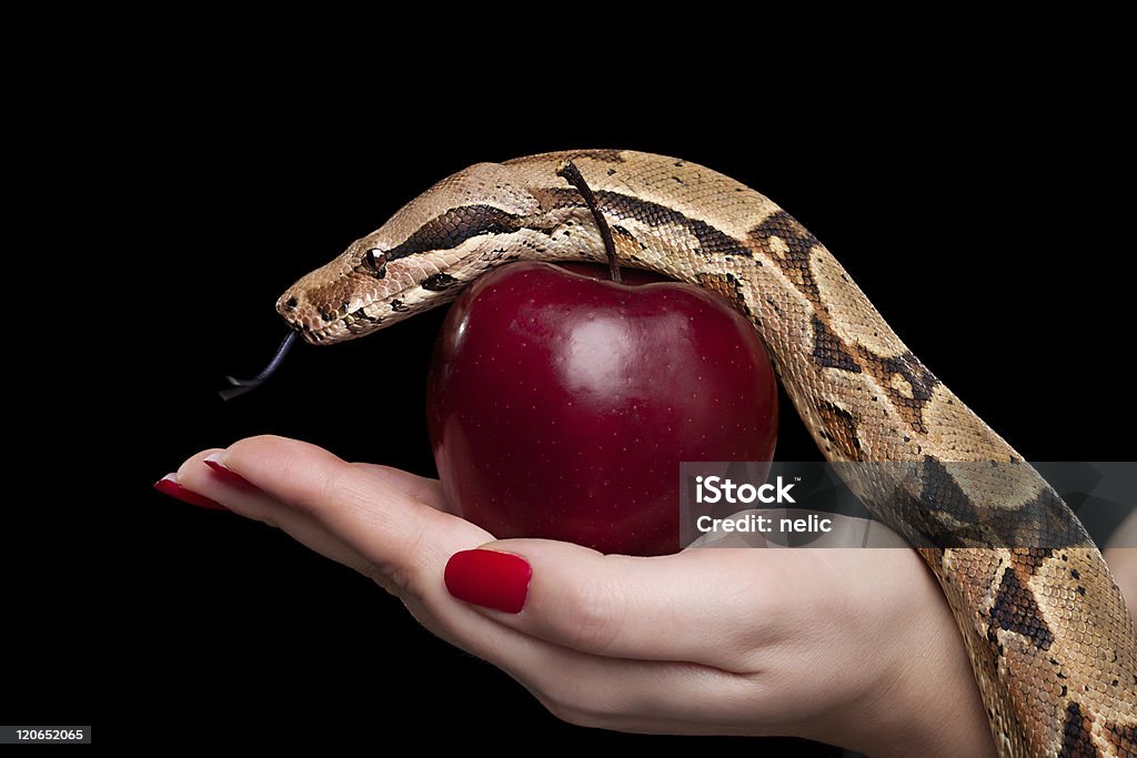 Snake e maçã - Foto de stock de Os Sete Pecados Capitais royalty-free