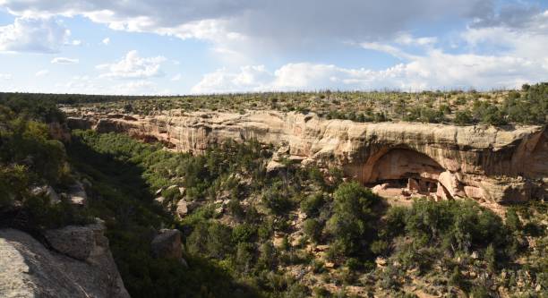 istock Oak Tree House in Mesa Verde NP 1206522895