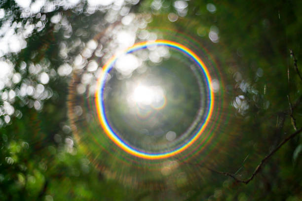 Sunny Green Background Bright shining sunlight with lens flare Blurred light bokeh trees background