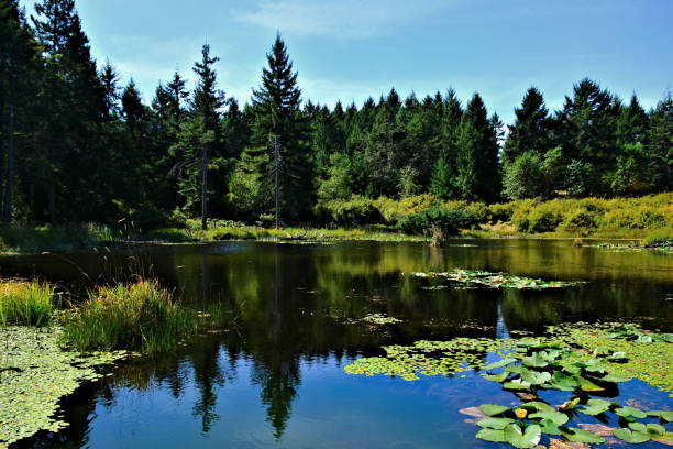 lago y estanques de enos - lake tranquil scene landscape zen like fotografías e imágenes de stock