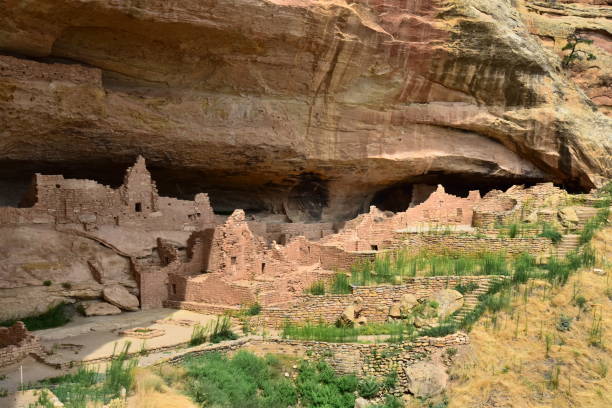 istock Long House at Mesa Verde NP 1206531918