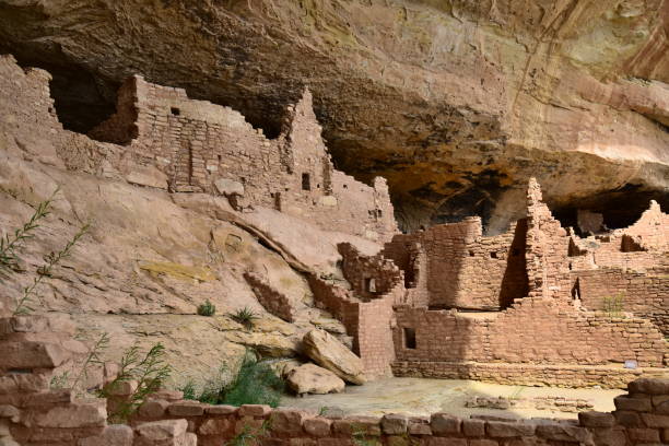 istock Long House at Mesa Verde NP 1206532104