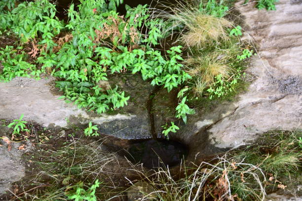 Long House water supply details are seen from the site in Mesa Verde National Park, Colorado.