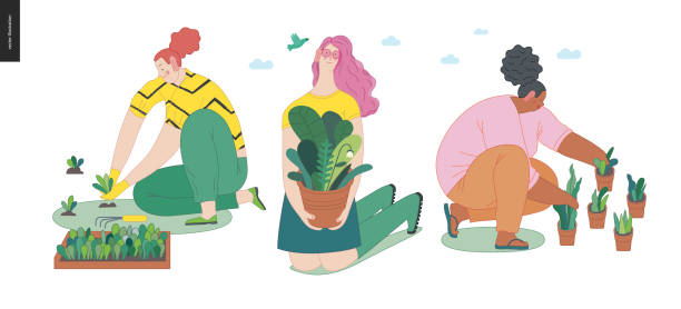 ilustraciones, imágenes clip art, dibujos animados e iconos de stock de la gente de jardinería establece, primavera - seedbed