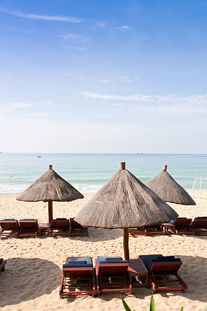 istock beach chairs and umbrellas by the sea 120653576