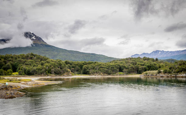 парк тьерра-дель-фуэго, аргентина - argentina patagonia andes landscape стоковые фото и изображения