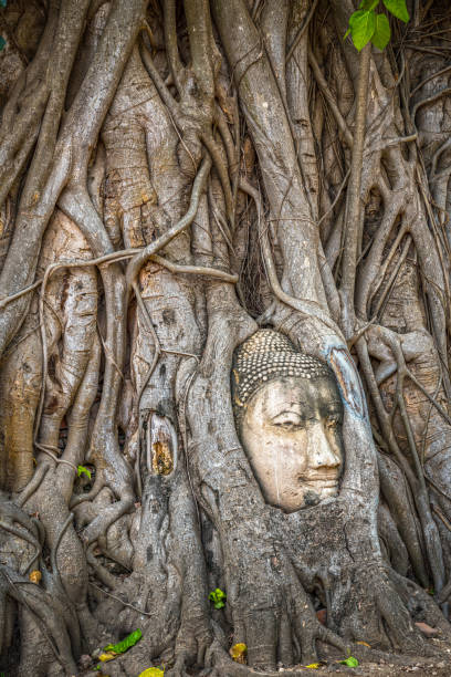 istock Wat Mahathat Temple, Ayutthaya. 1206541557