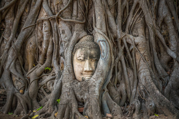 istock Wat Mahathat Temple, Ayutthaya. 1206542405
