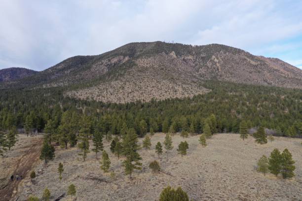 istock Buffalo park, Flagstaff, Arizona 1206542490